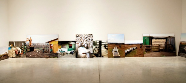 I giorni del cane_18x8